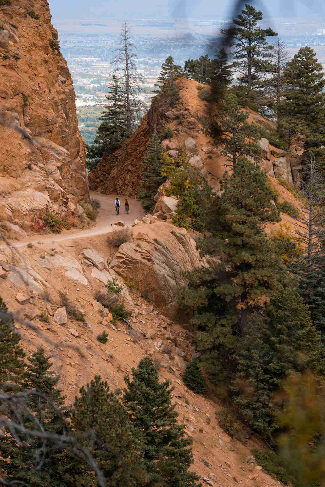 Cyclists Climbing up Gold Camp Road