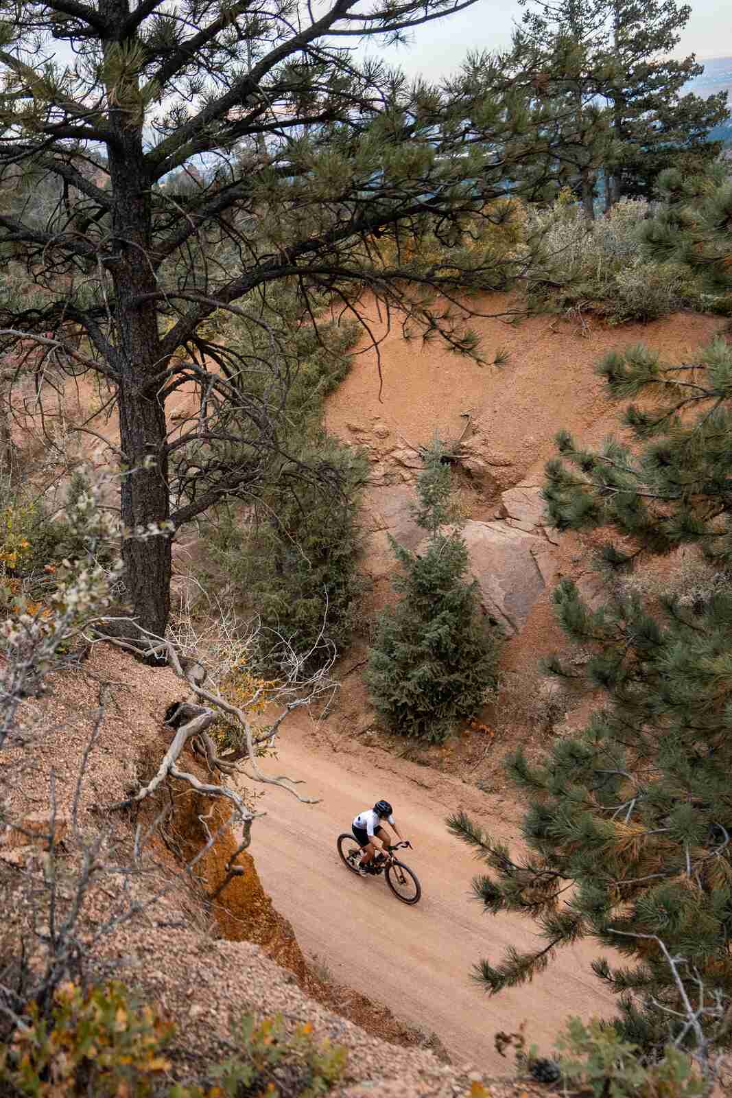 Overhead Shot of Cyclists Riding Gold Camp Road