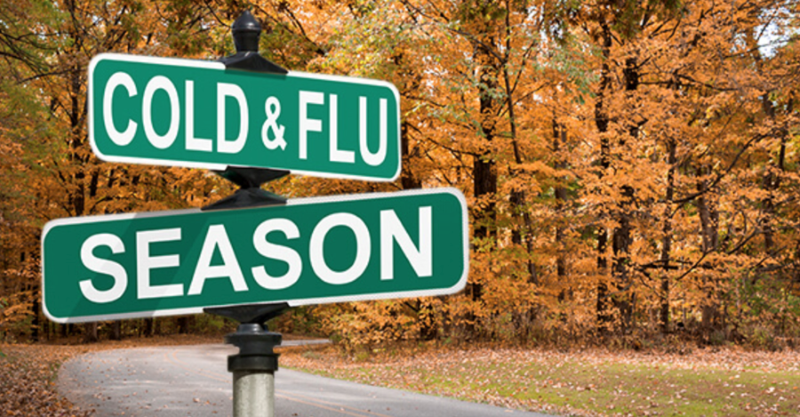 Cold and Flu Season - What to do if You Get Sick!