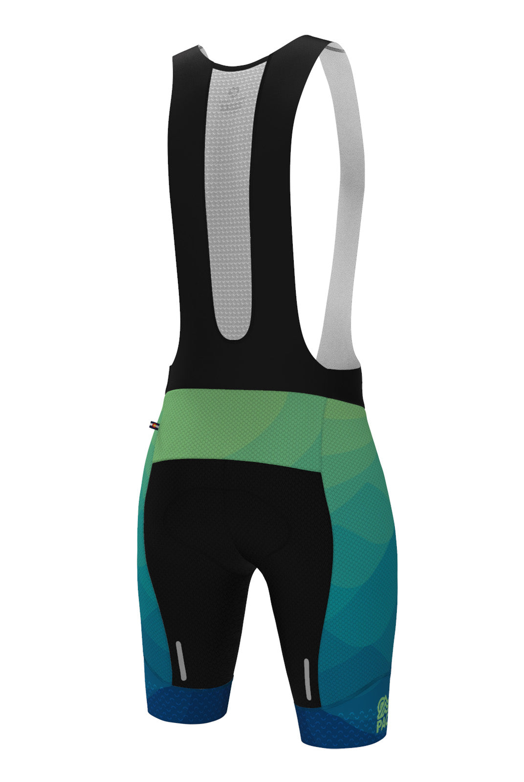 Men's PAC Summit Raptor Cycling Bibs - Twighlight Back View
