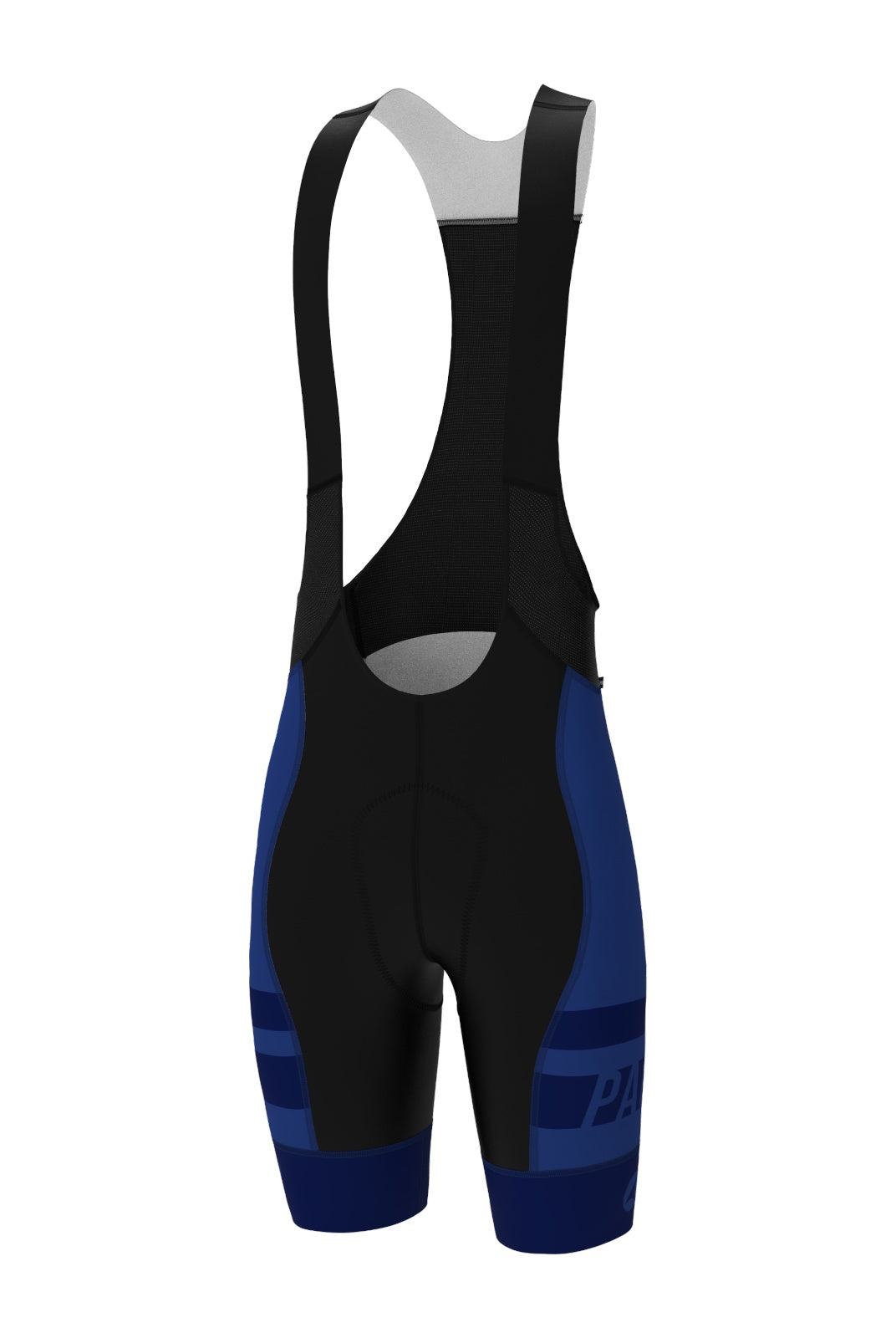 Men's PAC Ascent Vector Bibs - Standard