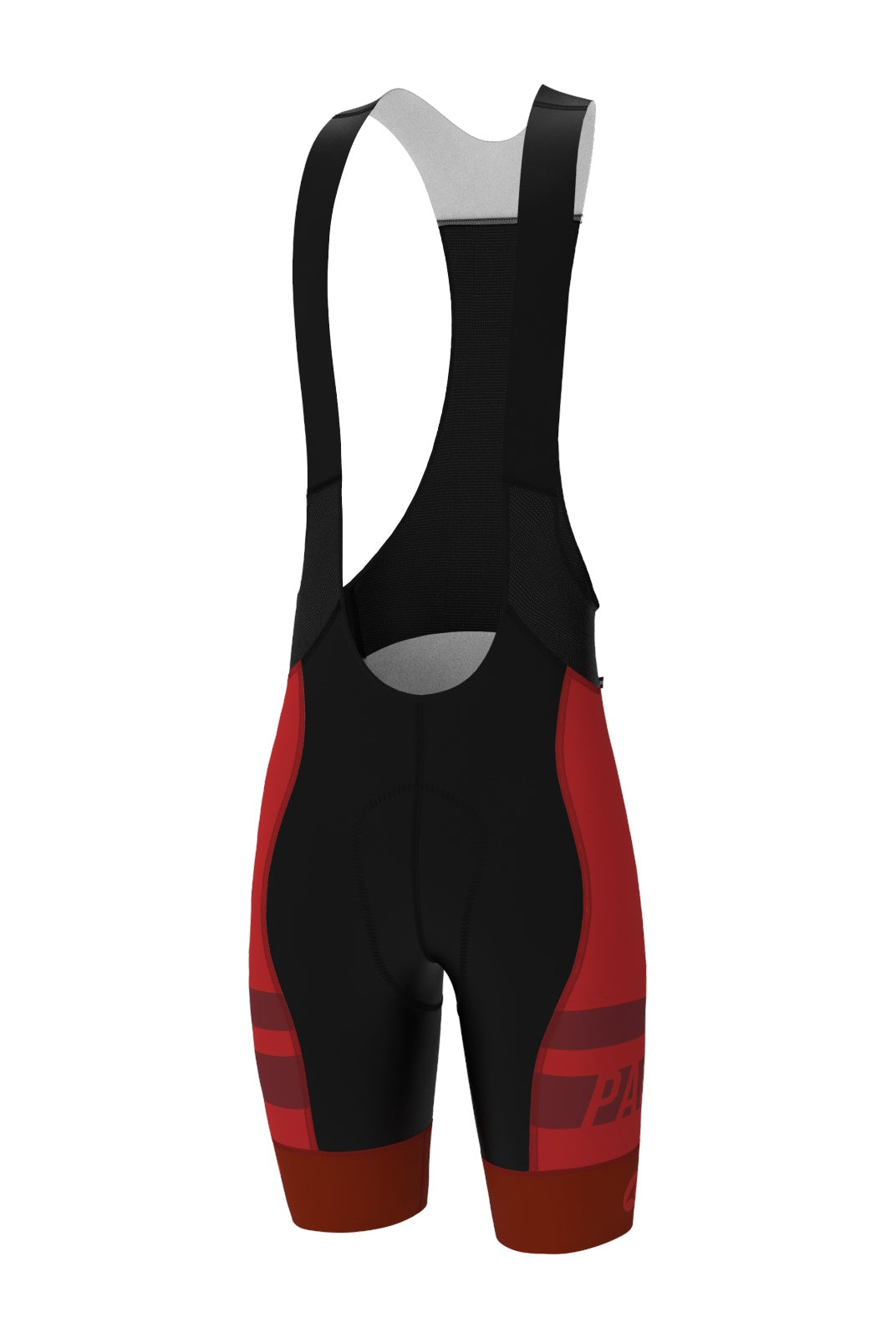 Men's PAC Ascent Vector Bibs - Standard