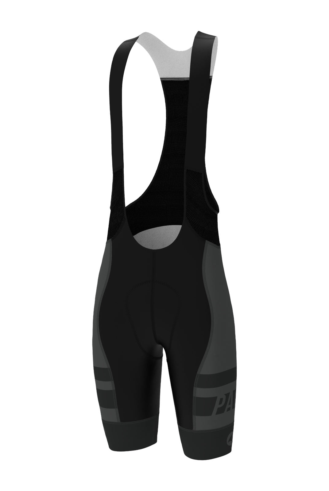 Men's PAC Ascent Vector Bibs - Long