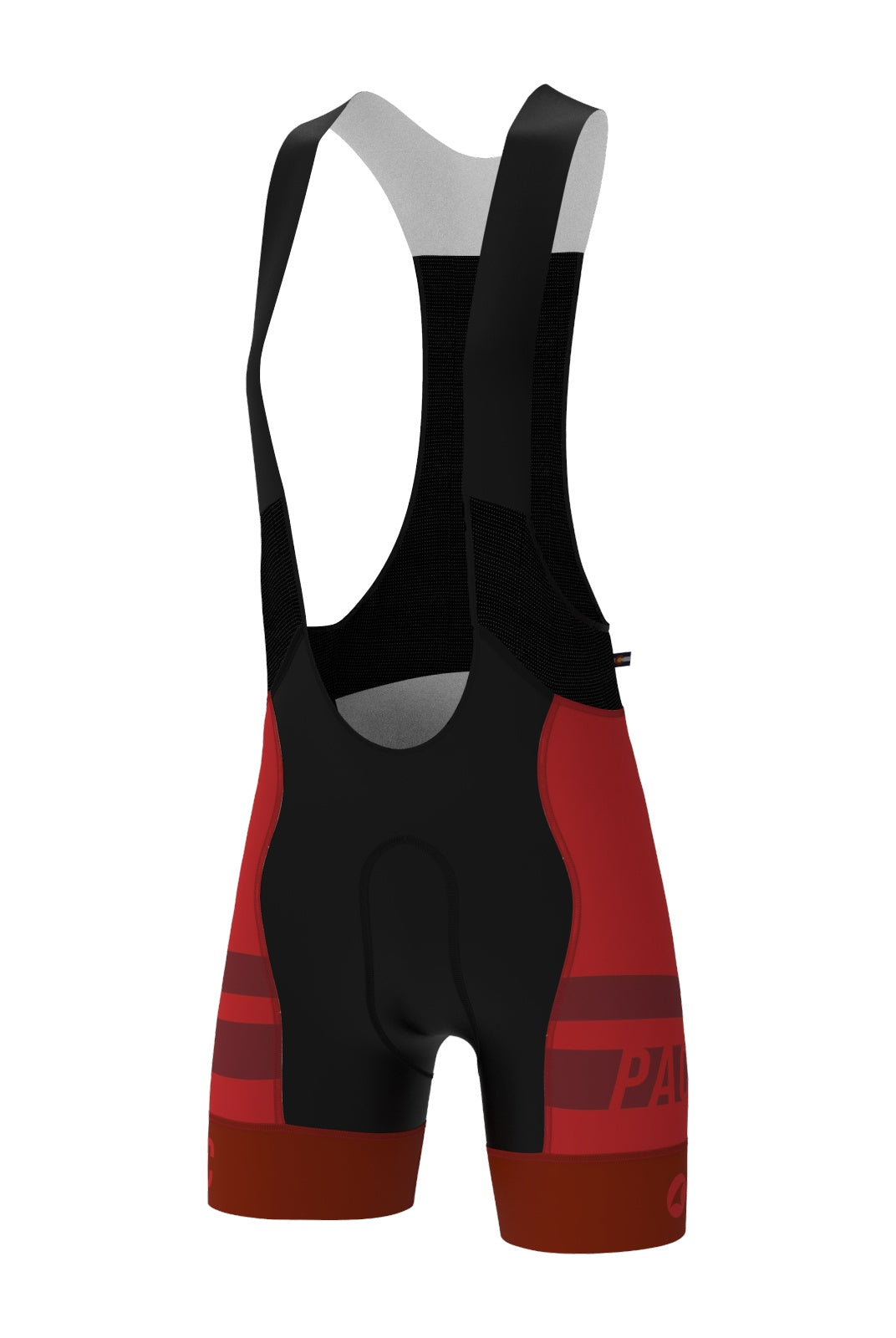 Women's PAC Ascent Vector Bib Short - Standard