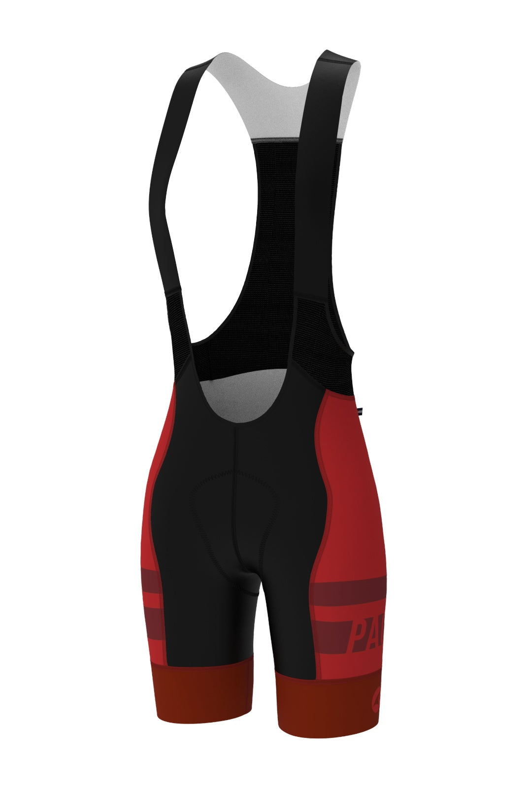 Men's PAC Ascent Vector Bibs - Long