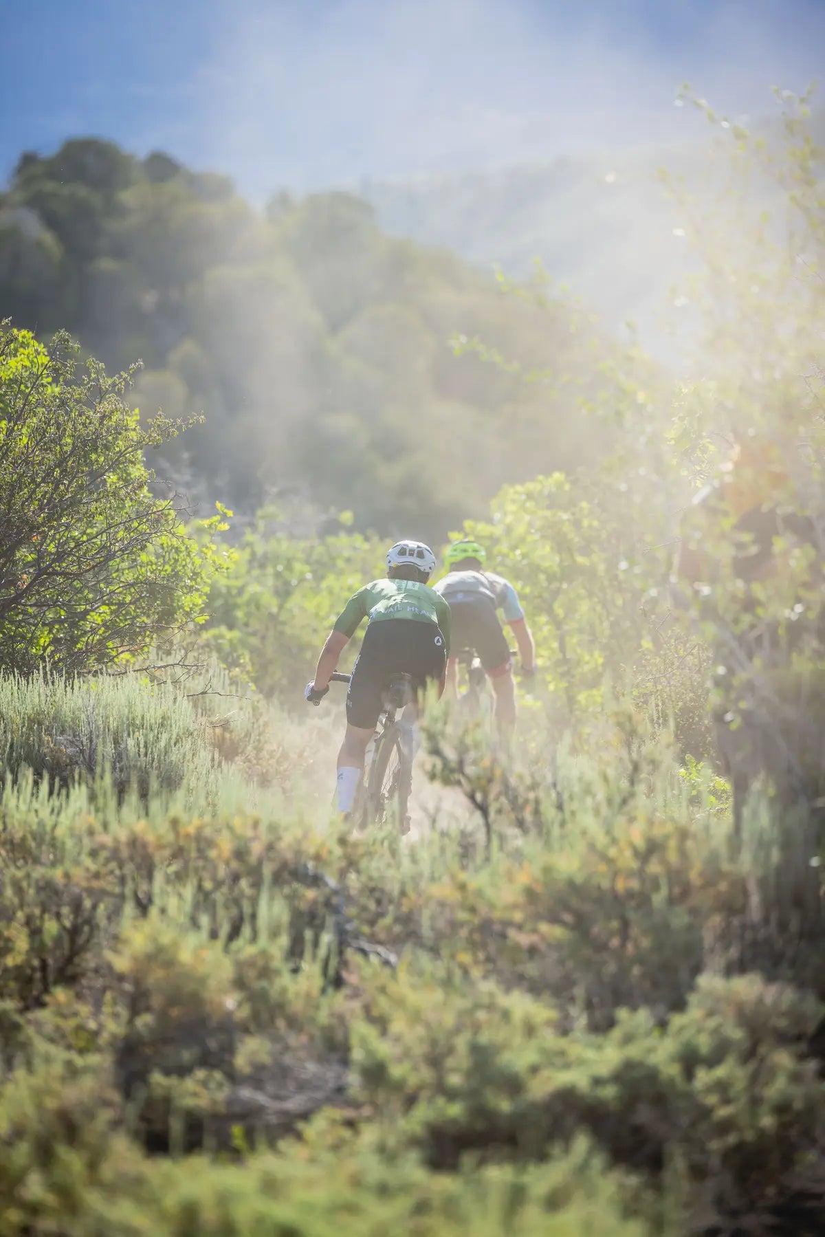 Two cyclist riding through a forested area with sunlight filtering through the trees.