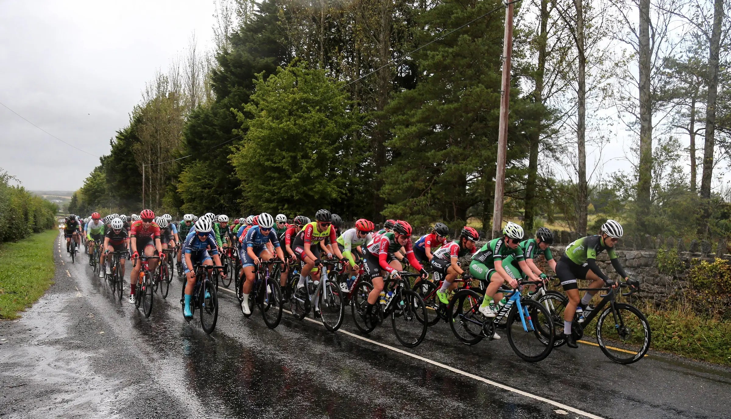 A group of cyclists riding in a peloton on a wet country road lined with trees under an overcast sky.