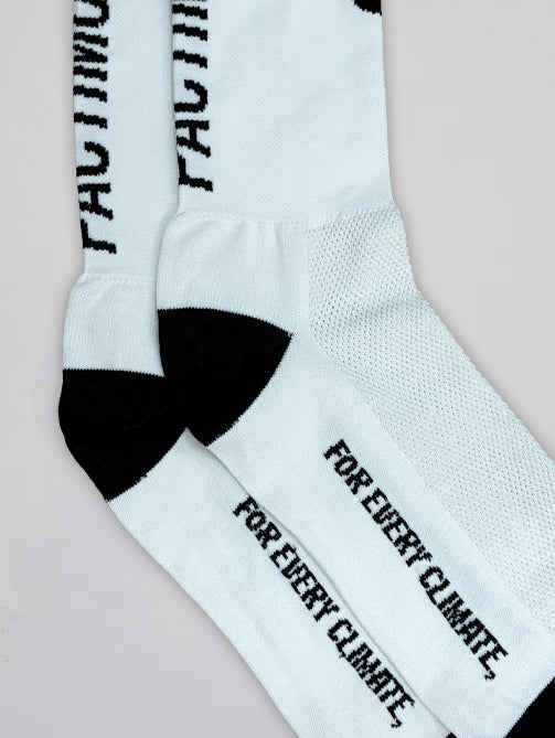 Ascent Socks